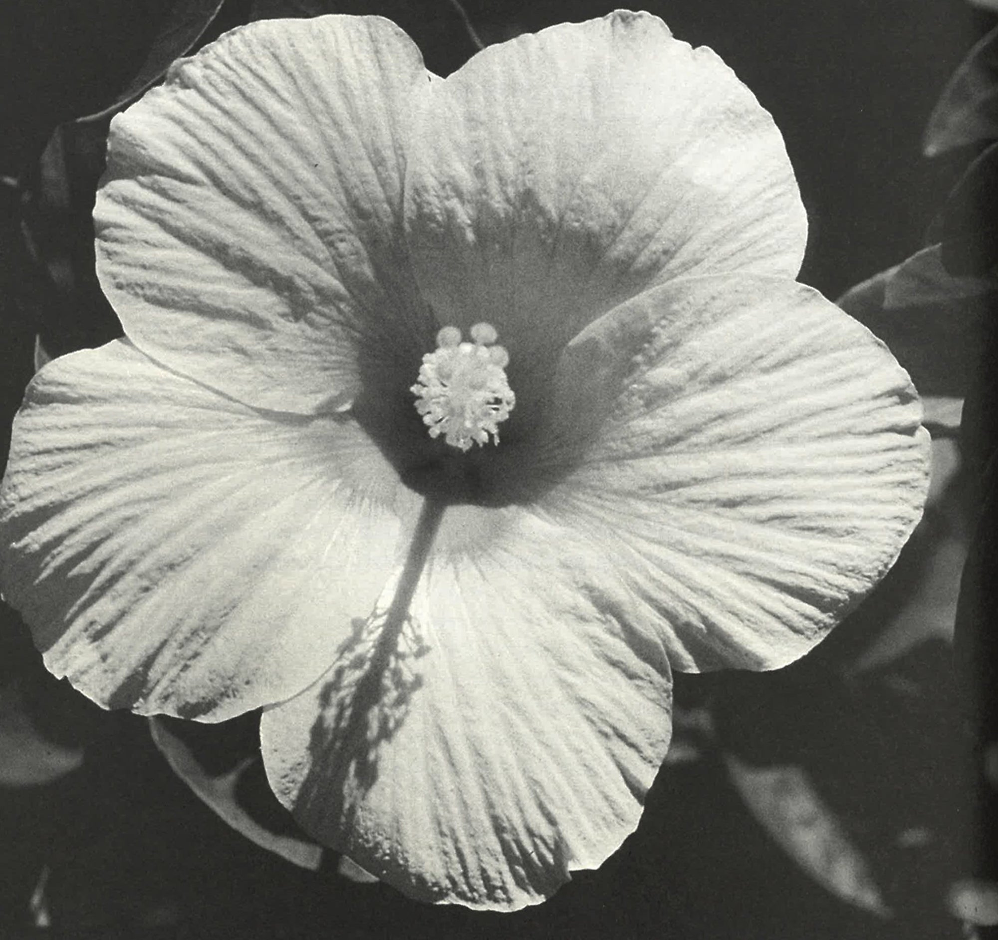 Introducing Factory Supply