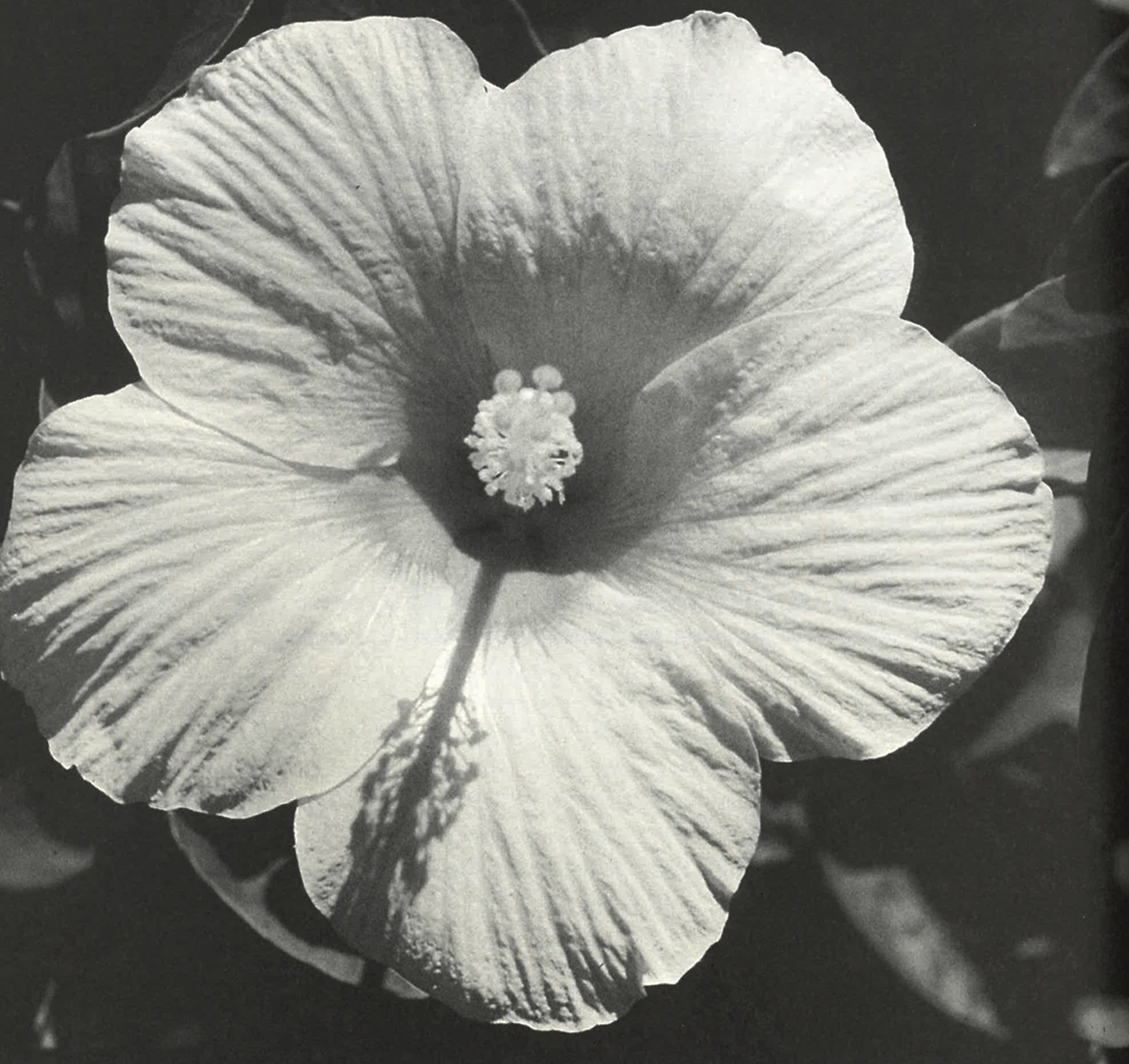 Introducing Factory Supply