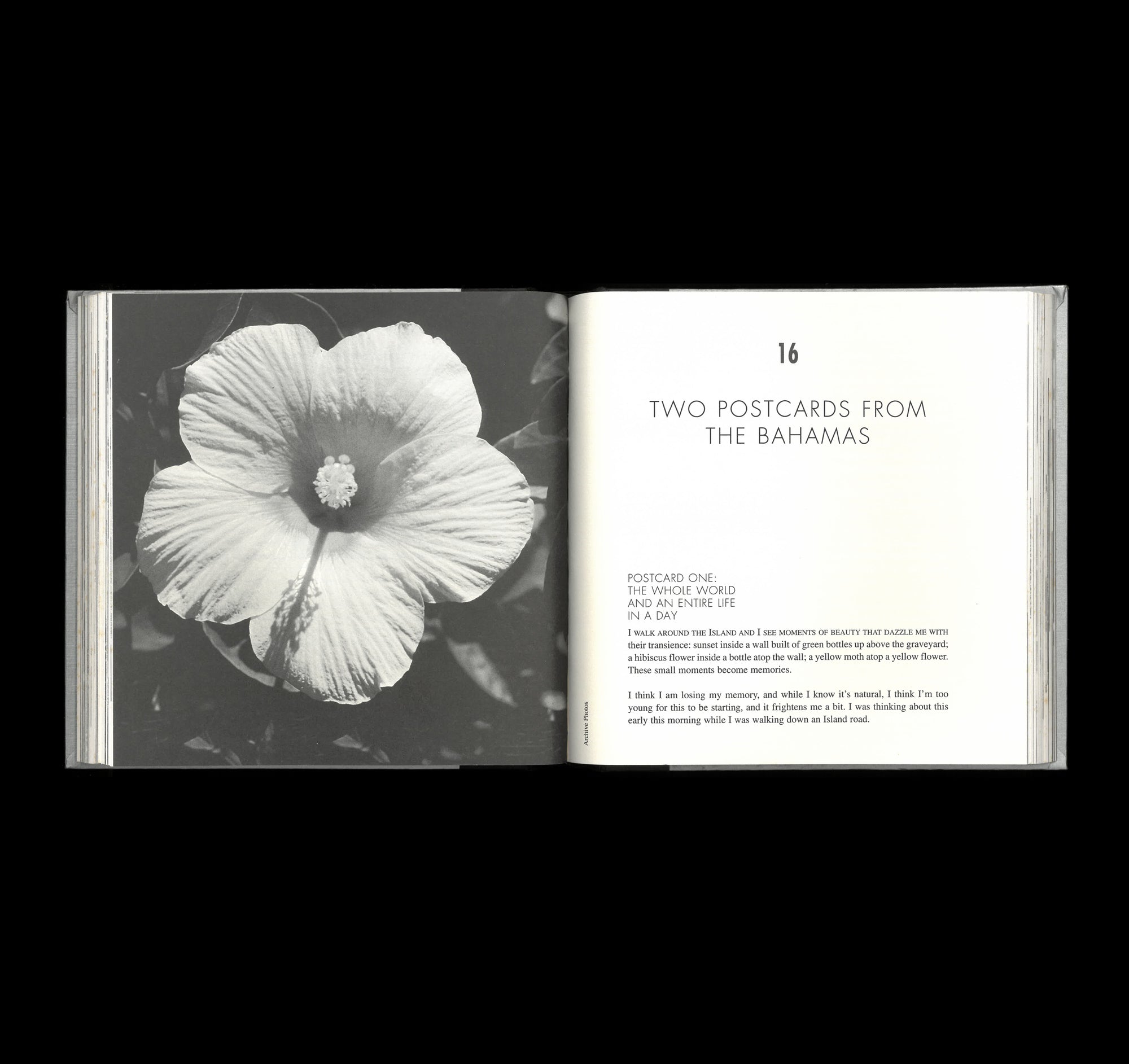 Polaroids from the Dead